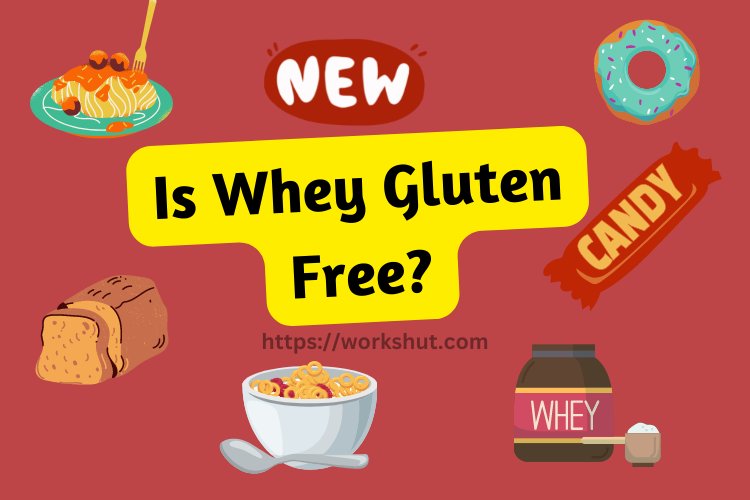 Is Whey Gluten Free? What You Need To Know