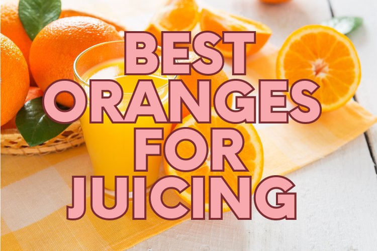 Best Oranges For Juicing